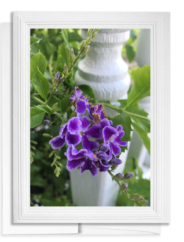 Country Flower